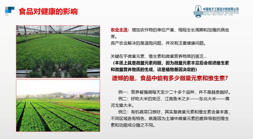 跨越隱形饑餓，點(diǎn)亮健康未來(lái) 硒鍶硅鋅營(yíng)養(yǎng)健康食品項(xiàng)目與生態(tài)旅游開(kāi)發(fā)協(xié)同發(fā)展計(jì)劃
